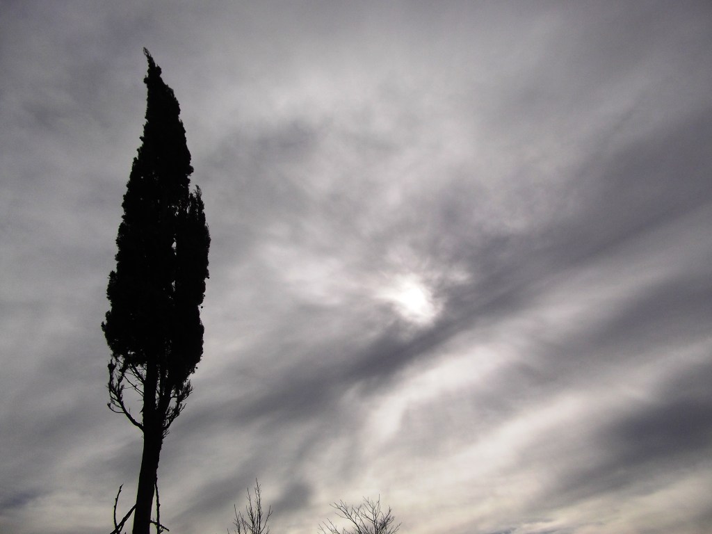 Reto enviado por Literatura9752: Lágrimas y&nbsp;metal